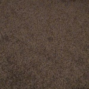 Meet your Posher, Alexander